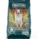 Forastero Adulto