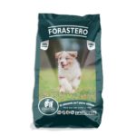 Forastero Cachorro