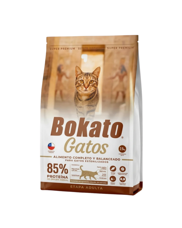 Bokato Gato Adulto